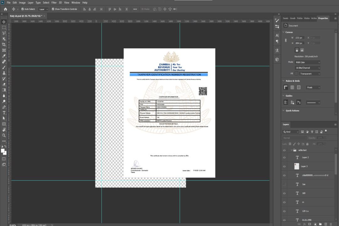 Modèle Word et PDF d'enregistrement du numéro d'identification fiscale de Zambie template